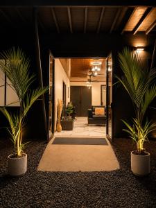 a hallway with two palm trees in a house at Althi Mountain House in Naranjito