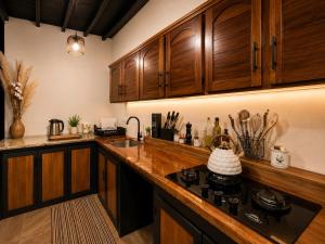 a kitchen with wooden cabinets and a counter top at Althi Mountain House in Naranjito