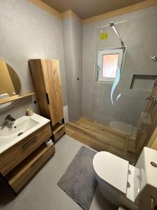 a bathroom with a shower and a toilet and a sink at Ela’s retreat in Dealu Mare