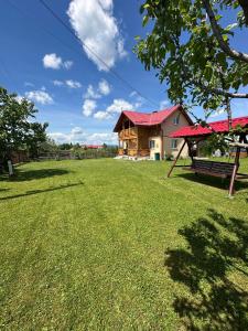 a large yard with a house and a bench at Ela’s retreat in Dealu Mare