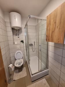 a small bathroom with a shower and a toilet at Apartment Stup Sarajevo in Sarajevo