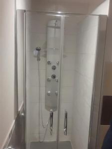 a shower stall in a bathroom with a shower at L'Escapade du Hérisson in Doucier +28 photos