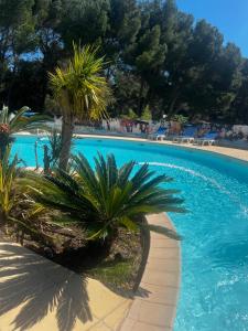 a blue swimming pool with palm trees and chairs at Camping Familial Buffalo Hacienda in La Seyne-sur-Mer