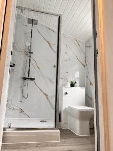 a bathroom with a shower and a toilet at Ayetonis in Pallion +15 photos