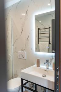 a bathroom with a sink and a mirror and a toilet at The Olive Garden in Shkodër +46 photos