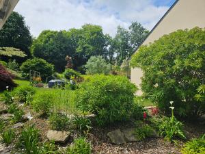 a garden with flowers and plants in a yard at Les LYS in Locronan