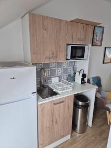 a small kitchen with a sink and a refrigerator at STUDIO COZY 20m2 in Les Attaques +7 photos
