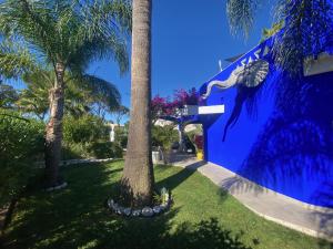 a palm tree next to a blue wall at Villa Karolina in Quarteira +30 photos