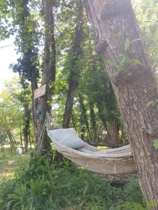 a hammock hanging from a tree in a forest at tente type yourth dans les bois in Saint-Paulet-de-Caisson