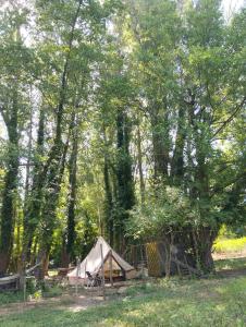 a tent in the middle of a forest at tente type yourth dans les bois in Saint-Paulet-de-Caisson