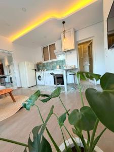 a kitchen with a plant in the middle of a room at Emeraude in Tunis