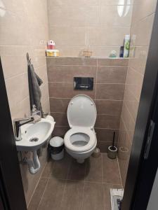 a small bathroom with a toilet and a sink at Felüdülő Apartman Balatonlelle in Balatonlelle +4 photos