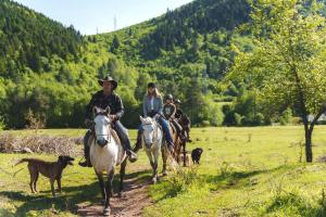 a group of people riding horses in a field with dogs at Farma Sotira Agroturizem in Leskovik