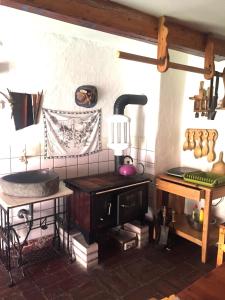 a kitchen with a counter with a sink and a stove at Sedliacka drevenica in Liptovská Osada
