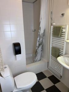 a bathroom with a toilet and a shower and a sink at Hotel Willemstad - kleinschalig hotel in Willemstad