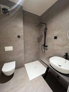 a bathroom with a toilet and a sink at Vila Mill in Sveti Jurij ob Ščavnici +35 photos