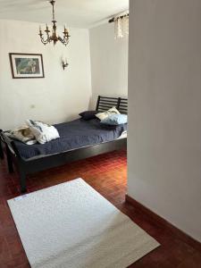 a bedroom with a bed and a chandelier at Borgo Arte in Monteverdi Marittimo