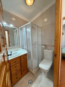 a bathroom with a toilet and a shower and a sink at Finca Jaralta de Carmen in La Puebla de los Infantes +18 photos