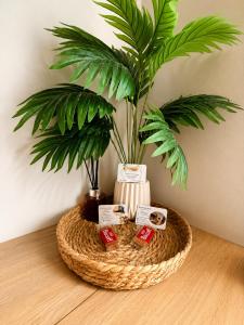 a bamboo basket with a potted plant on a table at Studio Sunshine Saint-Omer Centre in Saint-Omer
