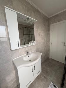 a bathroom with a white sink and a mirror at Vila Ziki in Sarajevo +9 photos