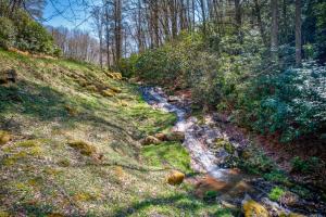 a small stream on a hill with grass and trees at Creeksong Cabin in Elk Park +38 photos