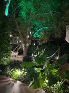 a garden with a table and a tree at night at Pousada Alphaville in Palmas +45 photos