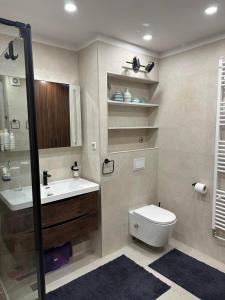 a bathroom with a toilet and a sink at Golden Apartment in Travnik +37 photos