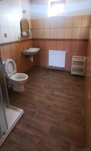 a bathroom with a toilet and a sink at Farma Dolní Dvořiště in Dolní Dvořiště +2 photos