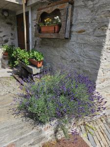 a stone wall with some plants and flowers on it at Nido Paradiso Nido, Balcone panoramico sulla Valle Soana in Ingria