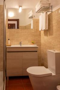 a bathroom with a toilet and a sink and a mirror at Dom Nuno by Horta da Moura in Monsaraz