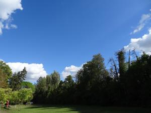 a field with trees and a blue sky with clouds at Logement charme provençal in Cabannes +4 photos
