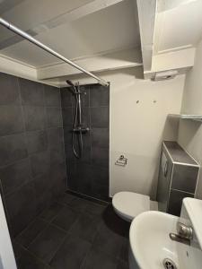 a bathroom with a shower and a toilet and a sink at Hotel B&B Altijd Wad in West-Terschelling +29 photos