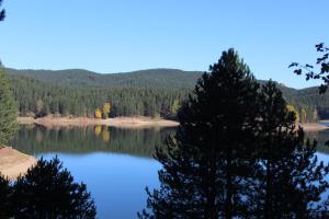 a view of a lake with trees in the foreground at Hotel Lo Scoiattolo in Cotronei