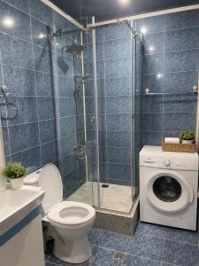 a bathroom with a shower and a toilet and a washing machine at Republic Square Apartment in Yerevan