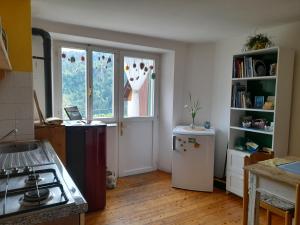 a kitchen with a stove and a refrigerator at Di Baut in Ovaro