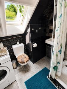 a bathroom with a toilet and a sink and a window at Old Farmhouse Loft near Vaduz in Sevelen