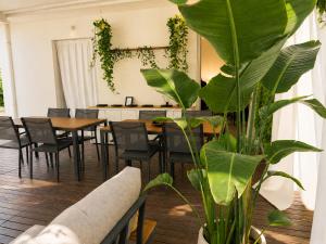 a dining room with a table and a plant at Amare Suite & Apartments in Bellaria-Igea Marina