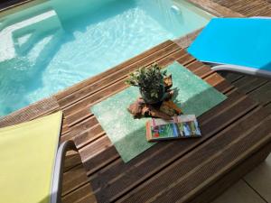 a plant sitting on a table next to a swimming pool at Bleu Caraïbe in Sainte-Anne
