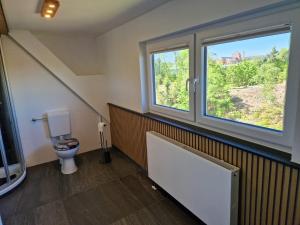 a bathroom with a toilet and two windows at Ferienwohnung Stützengrün in Stützengrün +11 photos