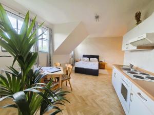 a kitchen and living room with a bed and a plant at Weingut Primus Südsteiermark in Spielfeld