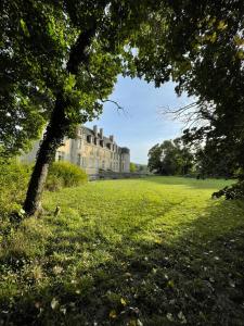 a large grassy field with a building and a tree at Studio Château de Passy in Passy