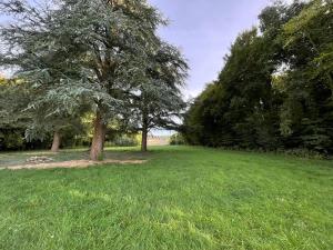 two trees in a field with green grass at Studio Château de Passy in Passy +3 photos