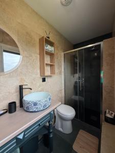 a bathroom with a sink and a toilet at La rose Poncet in Gardegan-et-Tourtirac
