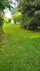 a field of green grass with trees and a building at LUCIA s sweet Home in Padova