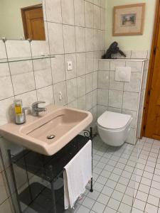 a bathroom with a sink and a toilet at Château de Villeron in Savigny-en-Revermont +23 photos