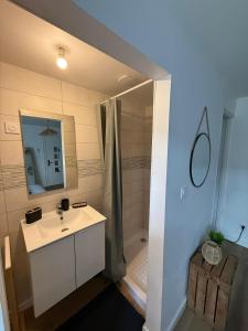 a bathroom with a white sink and a shower at Chambre Studio privé in Villenave-dʼOrnon