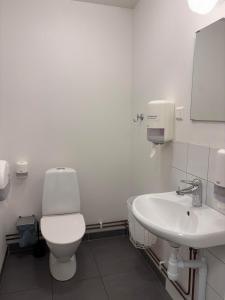 a white bathroom with a toilet and a sink at Rödlix Vandrarhem & Camping in Tvååker +32 photos