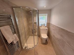 a bathroom with a shower and a toilet at Bridge Farm Holiday Cottages in Cow Honeybourne