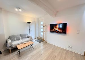 a living room with a couch and a fire on the wall at La Margnotine Cosy in Margny-lès-Compiègne