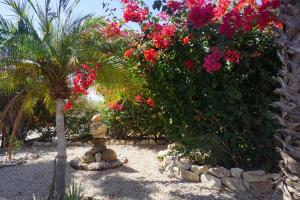 a garden with pink flowers and a stone statue at Large studio with private patio in Casa Cornucopia in San José del Cabo
